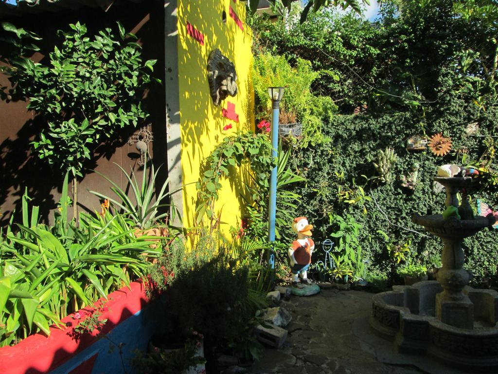 Hotel San Mateo San Salvador Dış mekan fotoğraf