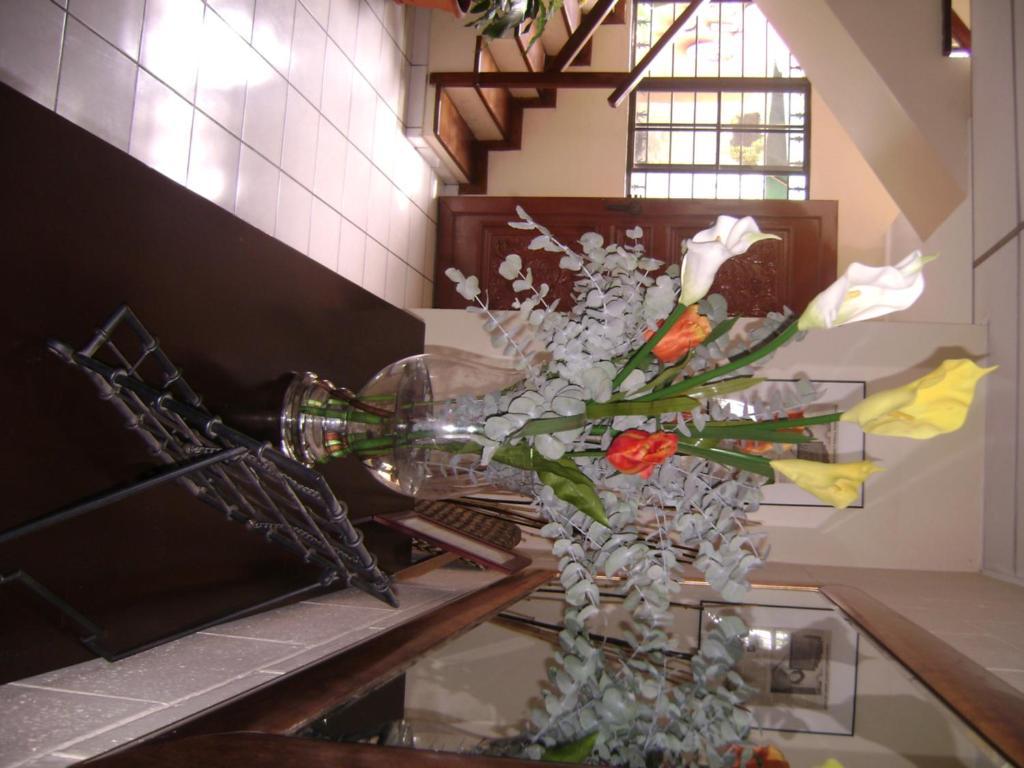Hotel San Mateo San Salvador Dış mekan fotoğraf